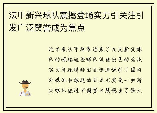 法甲新兴球队震撼登场实力引关注引发广泛赞誉成为焦点