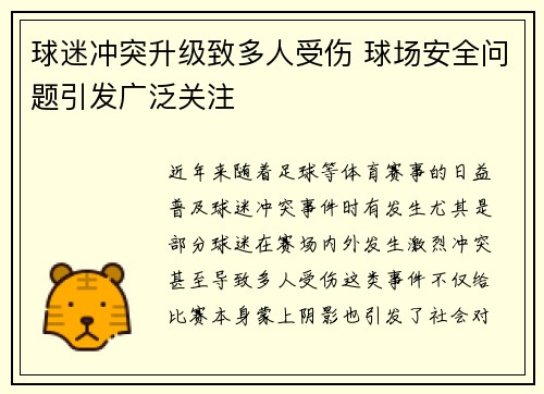 球迷冲突升级致多人受伤 球场安全问题引发广泛关注