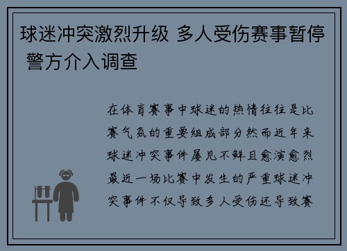 球迷冲突激烈升级 多人受伤赛事暂停 警方介入调查