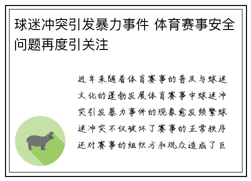 球迷冲突引发暴力事件 体育赛事安全问题再度引关注