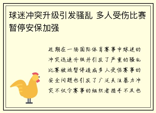 球迷冲突升级引发骚乱 多人受伤比赛暂停安保加强